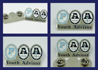 Zeta Youth Advisor Lapel Pin